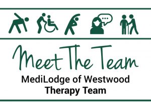 Meet The Therapy Team