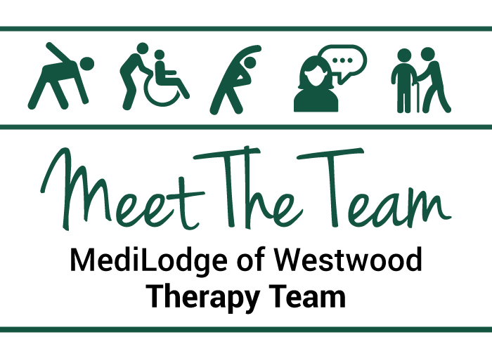Meet The Therapy Team